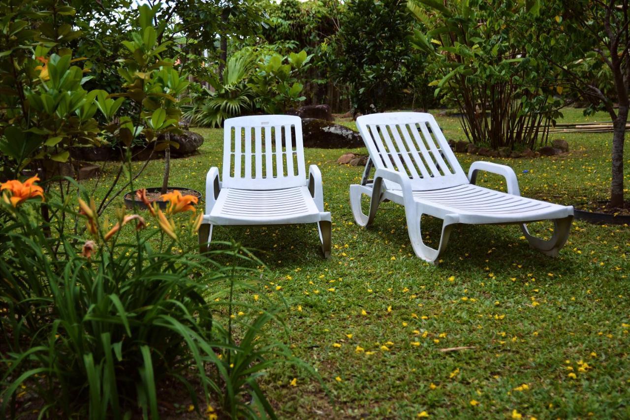 Alma Da Gamboa Gamboa (Santa Catarina)